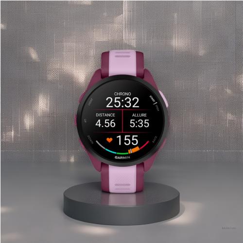 Montre Connectée Garmin 165 Music Unisex
