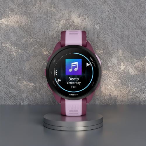 Montre Connectée Garmin 165 Music Unisex